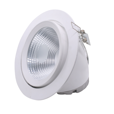 SPOT LED ORIENTABLE  CE 1x30 W  4500 K TLE-002  1050203083