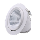 SPOT LED ORIENTABLE  CE 1x30 W  4500 K TLE-002  1050203083