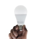 AMPOULE LED LBN-06 CE A60 E27 12 W 4000K 1050203027