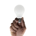 AMPOULE  LED CE A60 E27 6 W 470 lm 2700 K 1050203336