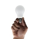 AMPOULE  LED CE A55 E27 4 W 310 lm 2700 K 1050203338