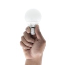 AMPOULE  LED CE G50 E27 5.5 W 530 lm 2700 K 1050203348