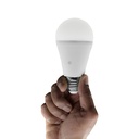  AMPOULE LED 17 W/1520 lm 6500 K, E27 1050203538