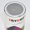 ANTIROUILLE GRIS 900G EGYCOAT