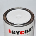 ANTIROUILLE BLANC 900G EGYCOAT