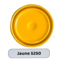 PEINTURE A L HUILE HANZ RONDO GOLDEN YELLOW 0.75KG code5250(1050)