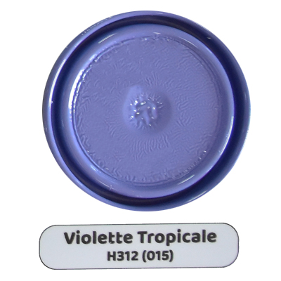 PEINTURE A L HUILE HANZ RONDO Tropical Violet 0.75KG codeH312 (015)(1008)