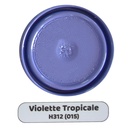 PEINTURE A L HUILE HANZ RONDO Tropical Violet 0.75KG codeH312 (015)(1008)