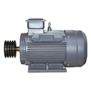 MOTEUR ELEC 15KW 20CV 1470RPM 380V/50HZ IP54 MZ17087 EKOMAXX