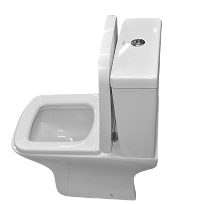 WC ANGLAISE COMPLET D/P DF DF2060B P HOR WHITE AQUA