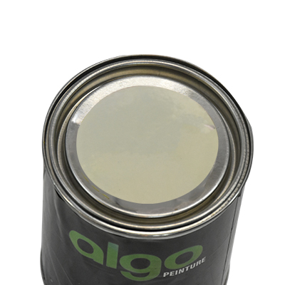 PEINTURE A L HUILE LIGHT GREY 700G B89 ALGO (HANZ) NET
