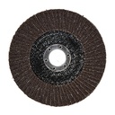 DISQUE A LAMELLE 115 X 22.2 MM 40 GRAIN ACIER INOX  2010808125