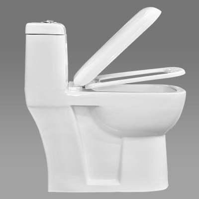 WC INDE COMPLET POUSSOIR HORIZ MONOBLOC REF 1205P (P1207) (ORC)