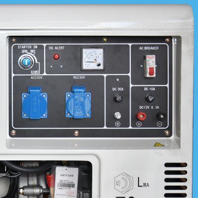 GROUPE DIESEL SIL EKOMAXX DG5000TM 6500T 4.5kva MONO PHASES SANS ATS 2010302122