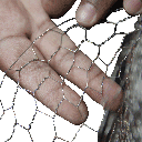 "GRILLAGE POULAILLER 1/2"""" MAILLE 1x25m U936111=6110