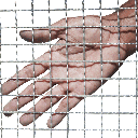 GRILLAGE METALLIQUE (H)2mx(L)1m Ø2.5mm maille:20x20mm 3080305042