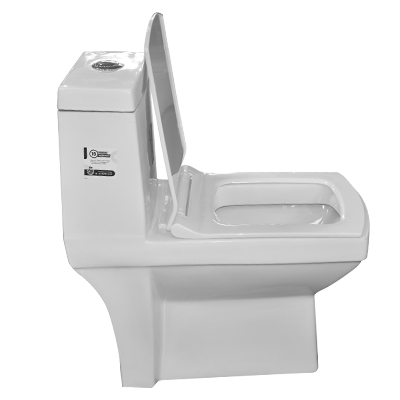 WC INDE MONOBOLOC (P) 109 HORIZONTALE (DNV)