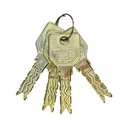 SERRURE COMPLET GODREJ 3KS Regalis 2C LKXVDM025