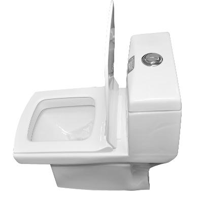 WC MONOBLOC COMPLET HORIZONTAL-102-P (DNV)