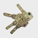 SERRURE  DC 2552 EXS + CNTR 2C DB SN  46171597SD00502