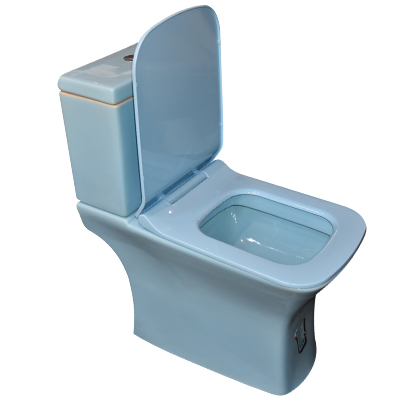 WC INDE COMPLET DEVON (P) HORIZONTAL BLUE (DNV)