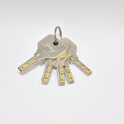 CADENAS GODREJ  7078 50 SHER LK PRO PC 5K/ 46171501SD00591