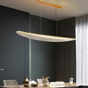 LUSTRE SUSPENDU LED25-40X1W 180-265V AC50-60HZ 100x13x14cm UR2398