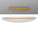 LUSTRE SUSPENDU LED25-40X1W 180-265V AC50-60HZ 100x13x14cm UR2398
