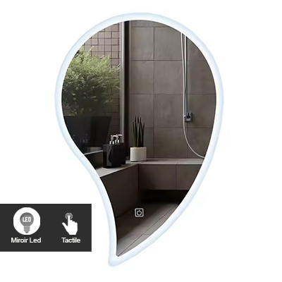MIROIR LED l.50xH.70cm CE 5000K   1010301837