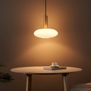 LAMPE SUSPENDU,300mm THD30100A-1 AVEC LAMPE 4W E27  2700K 220V-240V   (RITL)