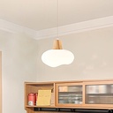 LAMPE LED SUSPENDU, 5W 85-265V 50/60Hz 220mm THD60032-1 (RITL)