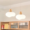 LAMPE LED SUSPENDU 5W 85-265V 50/60Hz 500x220mm THD60032-2 (RITL)