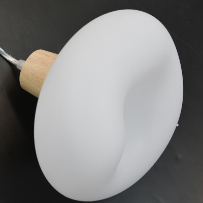 LAMPE LED SUSPENDU 5W 85-265V 50/60Hz 500x220mm THD60032-2 (RITL)