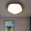 PLAFONNIER LED   24w - D924 (RITL)