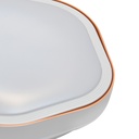 PLAFONNIER LED   24w - D924 (RITL)