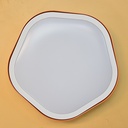 PLAFONNIER LED   24w - D924 (RITL)
