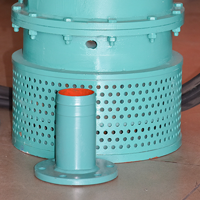 POMPE IMMERGEE BQS20-100/2-18.5/N  18.5 kW 380V 100M D:65mm IP68 3060203546