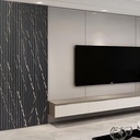 PANNEAU MURAL WPC COULEUR : LR045 155x17x2900