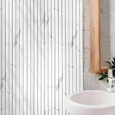 PANNEAU MURAL WPC COULEUR : SM 601