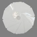 2-ELT1944.webp