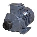 MOTEUR ELEC 11KW AVEC POULIE 22.51A 15CV  380V/50HZ 1470RPM IP55  MZ17086 EKOMAXX