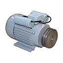 MOTEUR ELECTRIQUE 750W AVEC POULIE 230V 1400RPM  MZ17073 ekomax