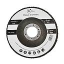 DISQUE A LAMELLE 115 X 22.2 MM 40 GRAIN ACIER INOX  2010808125