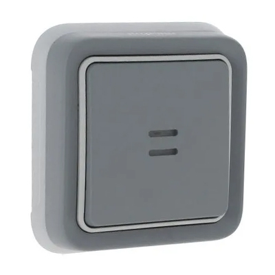 PLEXO-POUSSOIR  LUMINEUX NO+NF 10A ENCASTRE IP55 GRIS 230V 069821