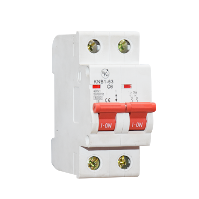 DISJONCTEUR 2P 16 A  CE EKO brand 2100905008