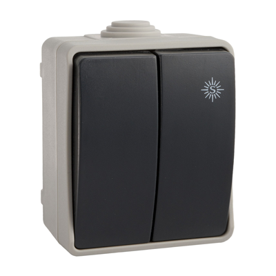 Double commutateur etanche 10AX250V IP54 3313FR Solera (DSTK -40%)