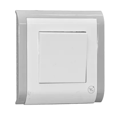 Interrupteur simple encastre 10A 250V Eko 1050300412