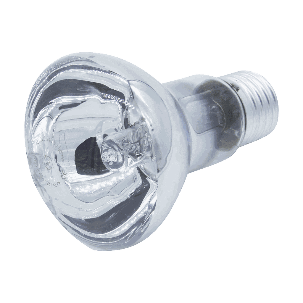 LAMPE HALOGENE A REFLECTEUR R63 42W E27 1050201007 (DSTK) (-60%)