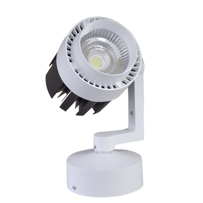 SPOT LED SUSPENDU CE 30 W 2250 lm, 3000 K 1050203212