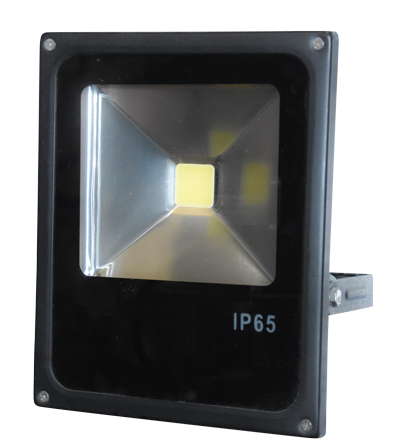 PROJECTEUR  LED IP65 30 W   2000 lm, 3000 K 1050203266